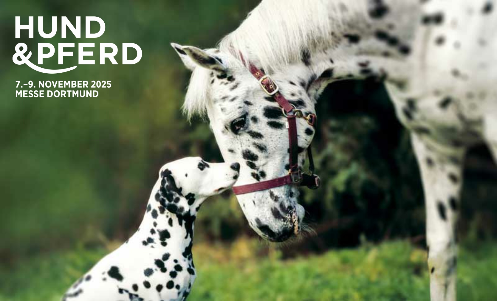 đ„ SAVE THE DATE: Das Mega-Event fĂŒr alle Tierfreunde! đ„Das Original: Messe Hund & Pferd 2025 in Dortmund