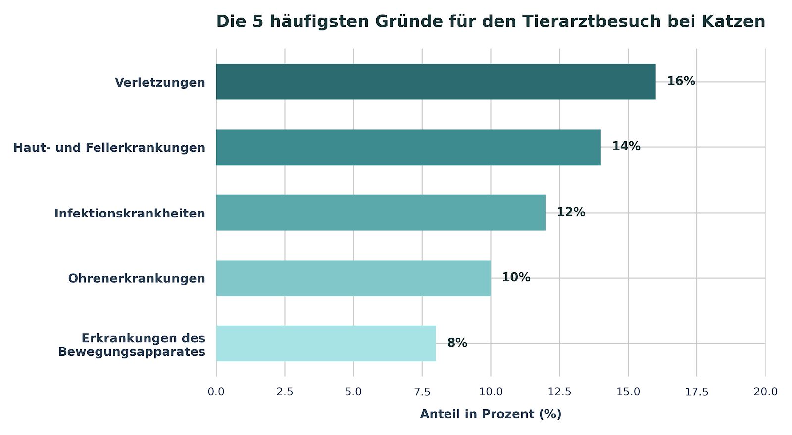 Katzen Tierarztbesuche Haeufigkeit der Gruende