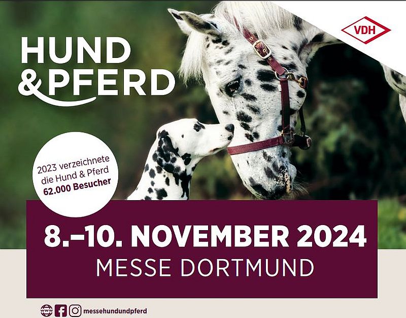 SAVE THE DATE - Messe Hund & Pferd in Dortmund vom 8. - 10. November 2024.
