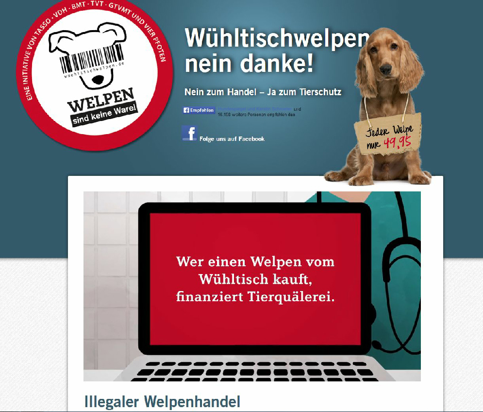 Welttierschutztag 4.10.2014 Fotoquelle: www.wueltischwelpen.de