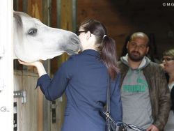 Kontakte knüpfen bei Sax Arabians - Foto © M.Groger