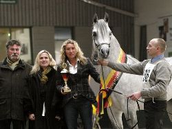 AJMAL TAMEEN - Gesamtsieger der Verbandshengstschau 2011