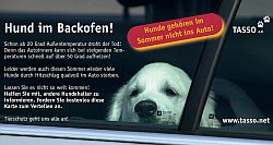 1 Hunde im Backofen