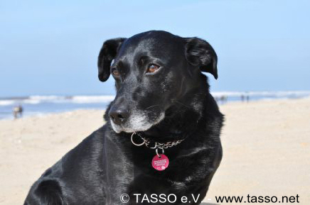 1 TASSO Plakette Strand