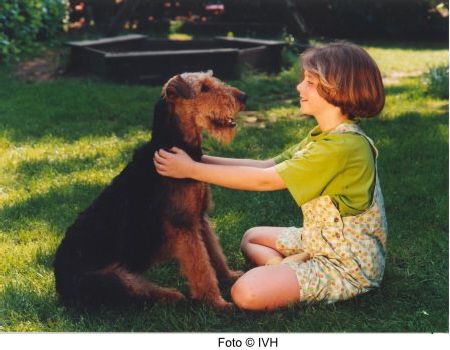 3 Foto IVHSoziale Kompetenz mit dem Hund erlebt