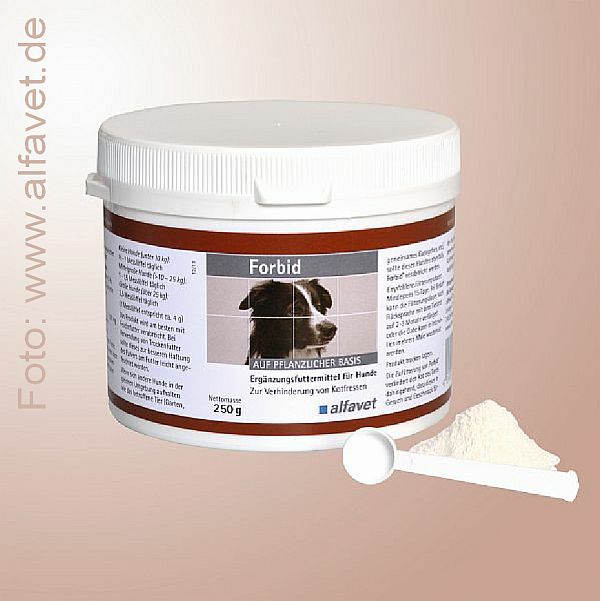 3 alfavet UR 10-2014 - Aufmacher-Foto Hund Tisch