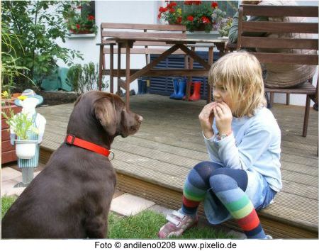 4 Hund und Kind Foto andileno0208 pixelio.de