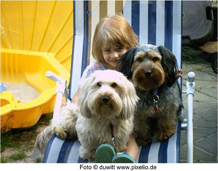 5 Hund und Kind Foto duwitt pixelio.de