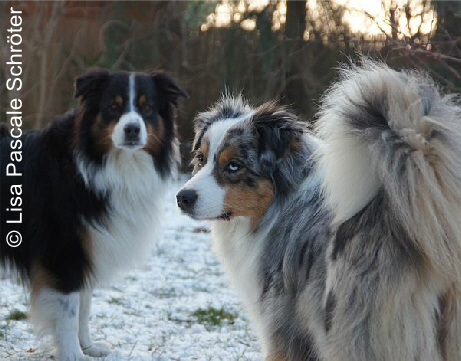 Amy und Djuke