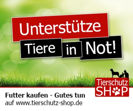 Banner - Unterstütze Tiere in Not