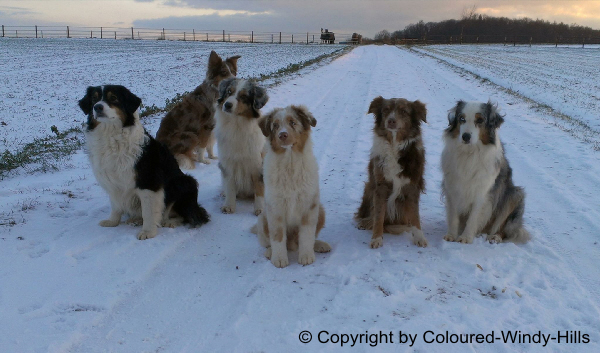 Coloured Windy Hills Truppe