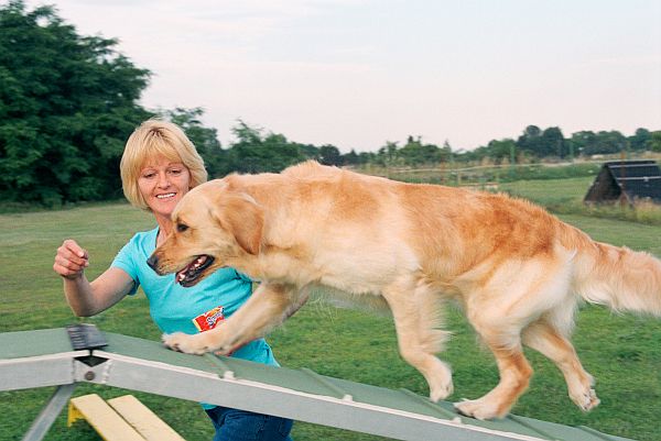 IEMT Fit mit Hund kopie