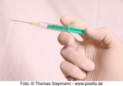 Staupe kann töten - Impfstatus prüfen Foto Thomas Siepmann pixelio.de
