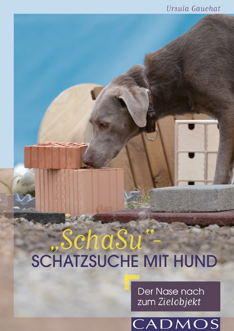 schatzsuche hunde 