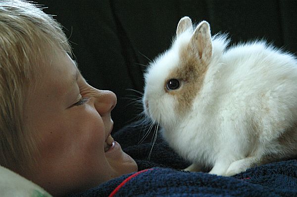 VersicherungIVH Blonder Junge mit Kaninchen