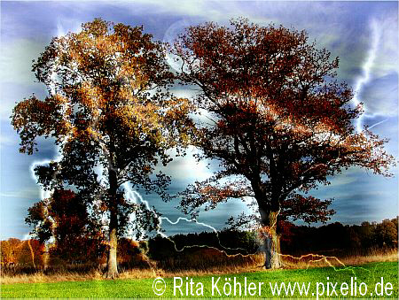 543359 original R K B by Rita Köhler pixelio.de