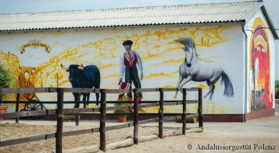 Andalusiergestüt Polenz