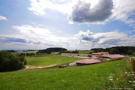 Aufrecht-unter den Birken-foto reumann