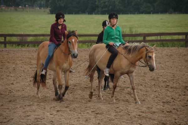 DSC 236 Auf dem Ferienhof