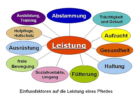 Einfluss auf Leistung