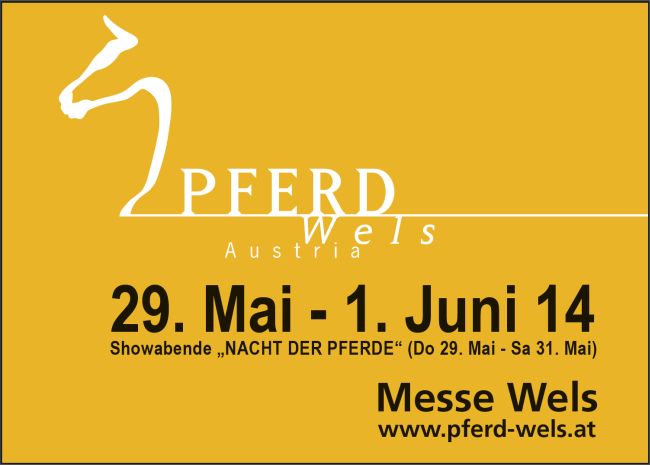 Pferd Wels 2014