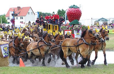 Titanen der Rennbahn 2015 - Foto: Elke Schulze