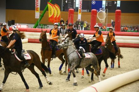 PFERD14 Horse-Ball Quelle Messe Wels