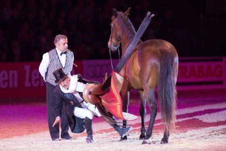 PFERD14 Show Les Arenos Quelle Messe Wels