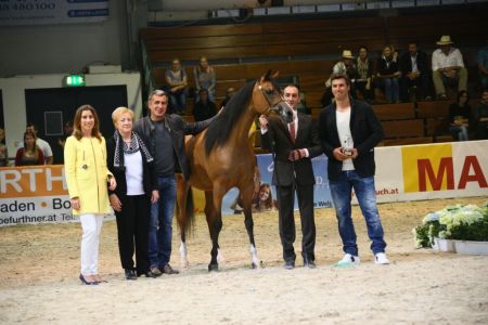 PFERD14 Vollblutaraber-Championat Quelle Messe Wels