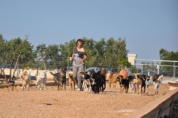 Luigia Parco - Gründerin des Tierschutzzentrum Oasi Nuova Vita - mit geretteten Tierheimhunden